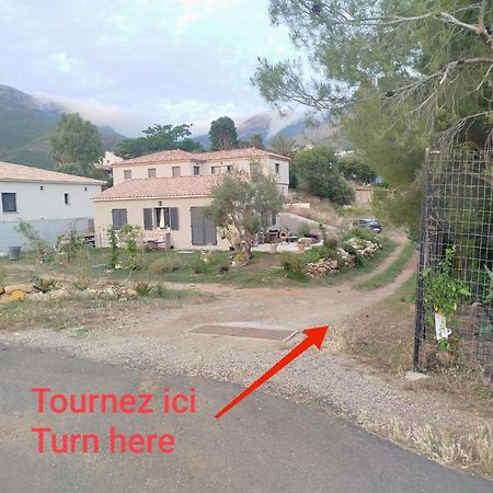 Charmant Appartement F2 Neuf Patrimonio Εξωτερικό φωτογραφία